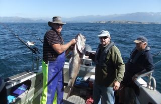 Fishing tours